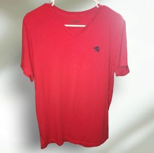 Express Men's V-neck Size Medium